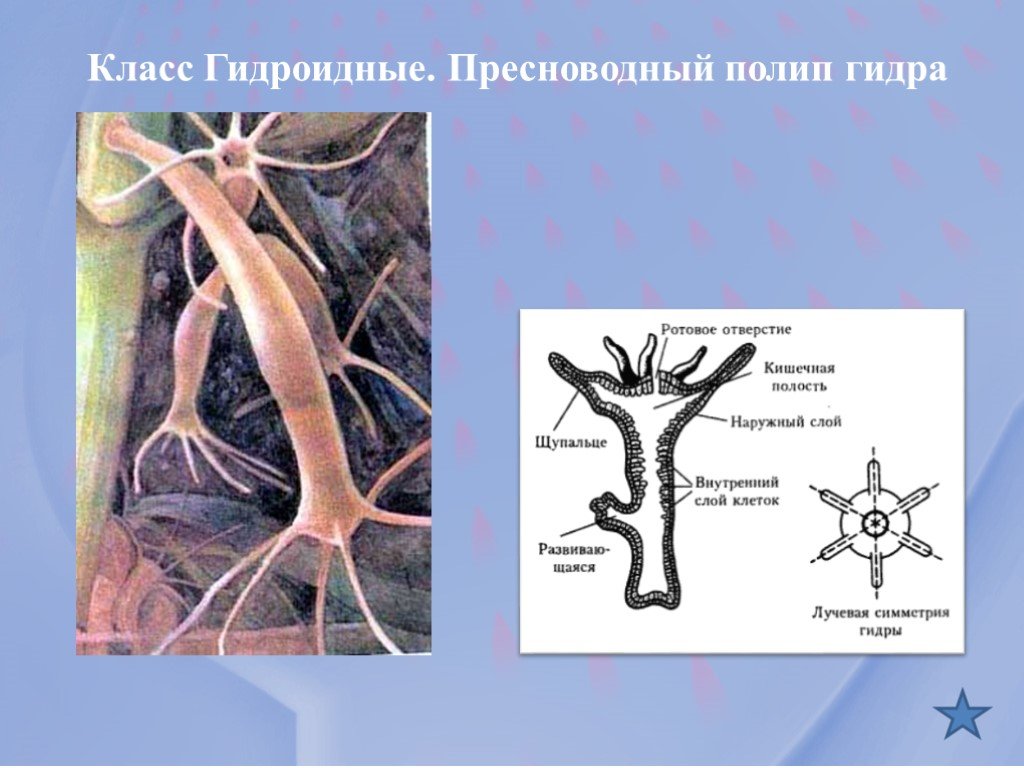 Что будет если зайти в кракен